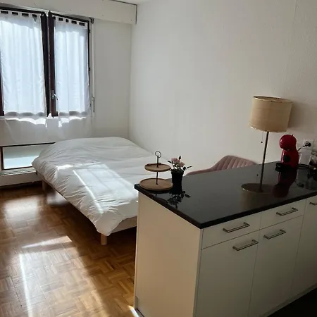 Charming Courtyard Flat - Scandinavian & * Genève